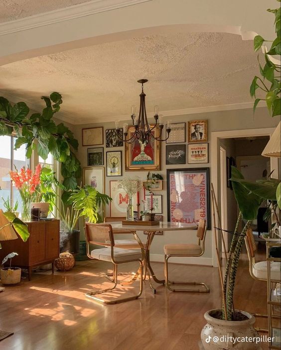 eclectic plant home decor